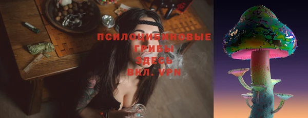 гидропоника Богданович