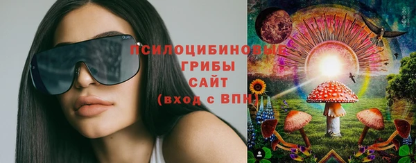таблы Богородицк